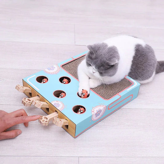 MicioMole - gioco interattivo per gatti